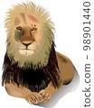 Male lion 98901440