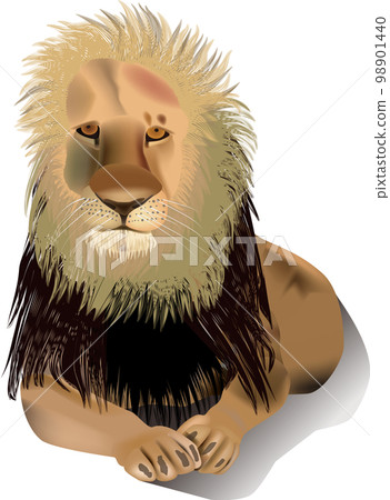 雄獅 雄獅 98901440
