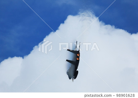 F15 maneuvering flight with vapor (1) 98901628