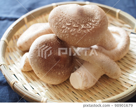 Thick shiitake mushrooms on a colander Thick shiitake mushrooms on a colander 98901679