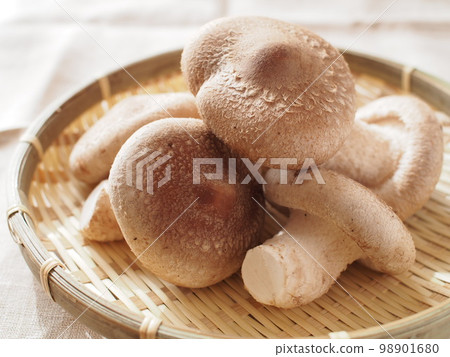 Thick shiitake mushrooms on a colander Thick shiitake mushrooms on a colander 98901680
