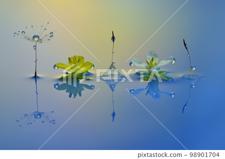 水滴照片創作照片 水滴照片創作照片 98901704