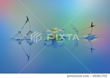 水滴照片創作照片 水滴照片創作照片 98901705