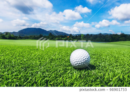 Golf ball on green 98901733
