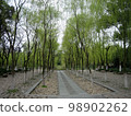 Willow Wonwoo (Hangzhou, China) 98902262