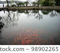 Flower port fish viewing (China _ Hangzhou) 98902265