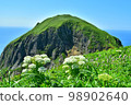 禮文島桃岩和花 98902640