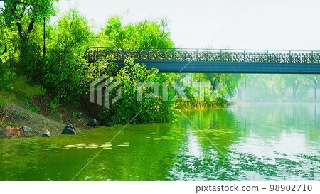 beautiful scenic in the park 98902710