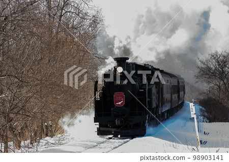 Steam locomotive Fuyu no Shitsugen Goes through the Kushiro Marsh Steam locomotive Fuyu no Shitsugen Goes through the Kushiro Marsh 98903141