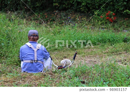 Yuzu-no-sato An elderly man taking a break while mowing grass in a satoyama area where cluster amaryllis blooms in Moroyama-cho. 98903157