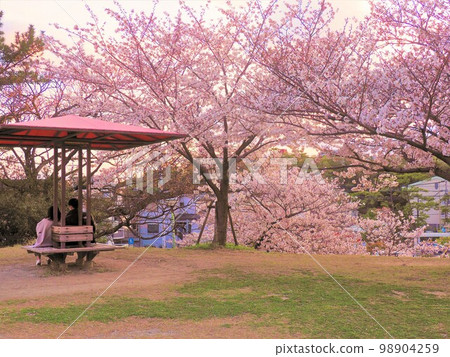 西宮櫻花景點 西宮櫻花景點 98904259