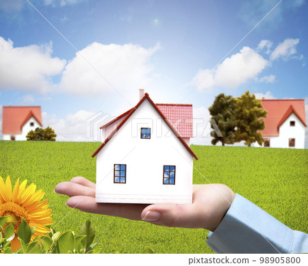 House and nature House and nature 98905800