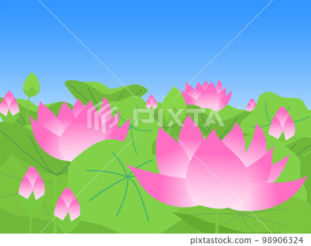 藍天下荷花盛開（二十四節氣圖） 98906324