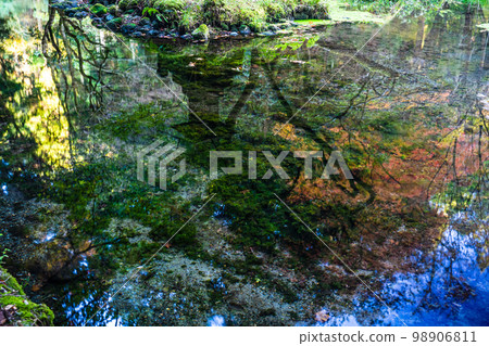 Autumn scenery of Yamabuki water source [Ubuyama Village, Aso County, Kumamoto Prefecture] 98906811