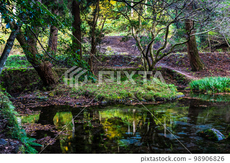 山吹水源的秋景【熊本縣阿蘇縣產山村】 山吹水源的秋景【熊本縣阿蘇縣產山村】 98906826