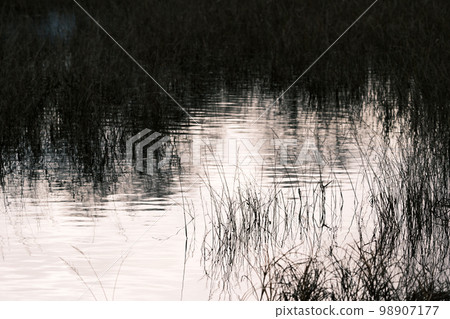 Quiet waterside Quiet waterside 98907177