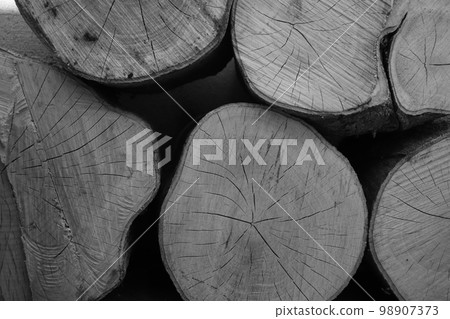 Annual rings of logs black and white 98907373