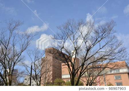 鳥取市區的街景 98907903