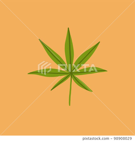 Hand drawn vector abstract graphic clipart illustration of Medical Marijuana, smoking accessories.Hemp leaf for smoking weed.Cannabis and weed legalization concept design.Trendy vector illustration. 98908029