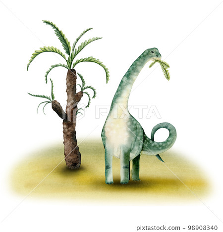 Green watercolor brachiosaurus dinosaur eating palm tree leaves composition isolated on white background 98908340