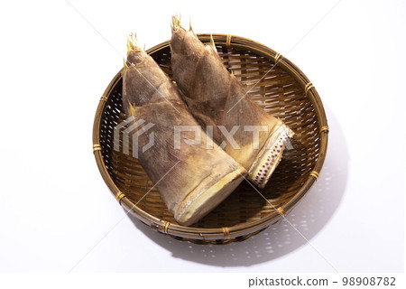 Bamboo shoot White back 98908782