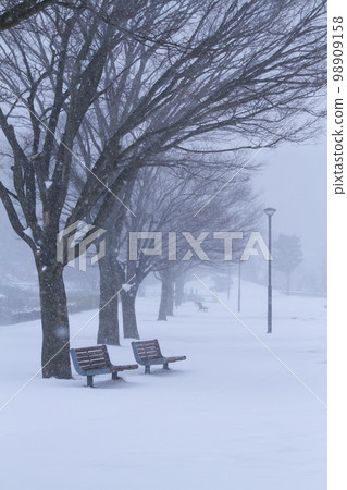 Scenery of a snowy park Tottori Prefecture Fuse Sports Park 98909158