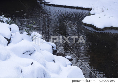 雪地公園的風景 鳥取縣融合運動公園 98909569