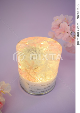 照明植物標本室 LED 98909699