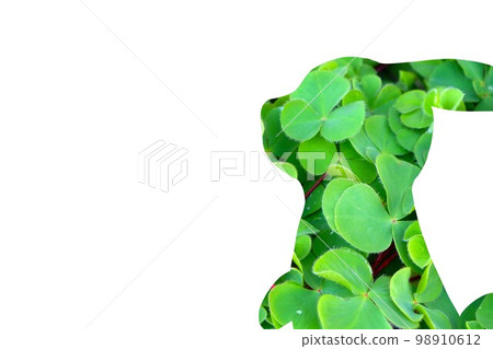兔子和四葉草字母材料 98910612