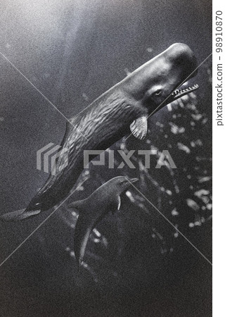Old Whales and Dolphins Old Whales and Dolphins 98910870