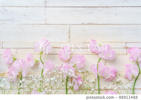 粉色甜豌豆和滿天星花背景 98911488