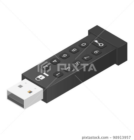Password usb flash icon. Isometric of password usb flash vector icon for web design isolated on white background Password usb flash icon. Isometric of password usb flash vector icon for web design isolated on white background 98913957
