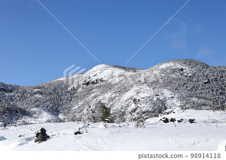 雪景（長野縣茅野市坪庭自然公園北代小岳） 98914118