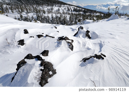 雪景（長野縣茅野市坪庭自然公園北代小岳） 98914119