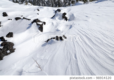 雪景（長野縣茅野市坪庭自然公園北代小岳） 98914120