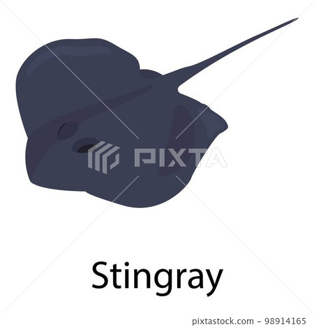 Stingray icon. Isometric of stingray vector icon for web design isolated on white background 98914165