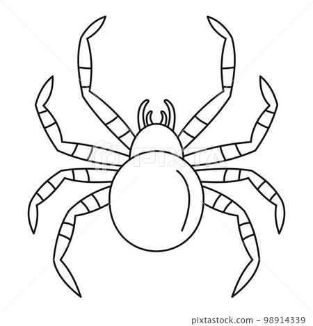 Tarantum spider icon. Outline tarantum spider vector icon for web design isolated on white background 98914339