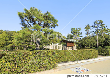 大阪府堺市阪西天王陵古墳(忠山古墳) 大阪府堺市阪西天王陵古墳(忠山古墳) 98915231