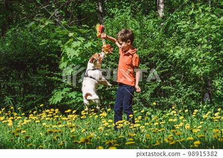 Happy kid playing with family pet dog on lawn in park on warm sunny spring day Happy kid playing with family pet dog on lawn in park on warm sunny spring day 98915382