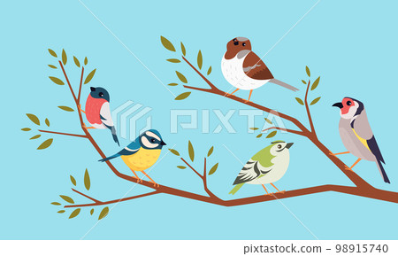 Birds on a branch. Cartoon animals sitting on branch funny pigeons and sparrows exact vector background Birds on a branch. Cartoon animals sitting on branch funny pigeons and sparrows exact vector background 98915740