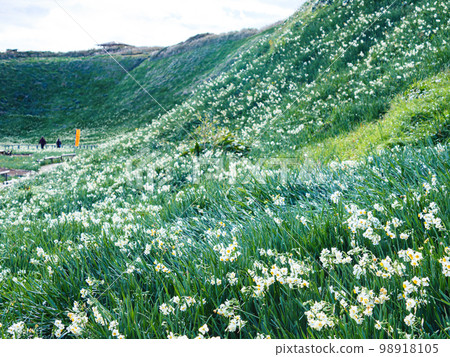 Winter in Uragizaki Winter in Uragizaki 98918105