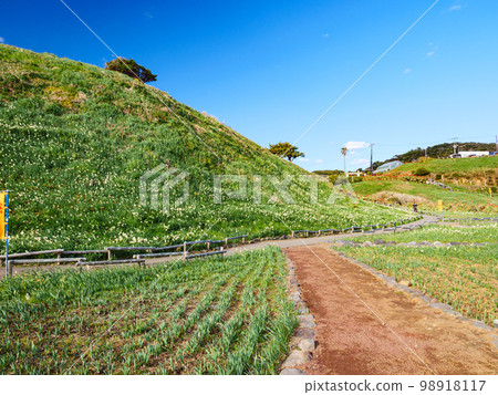 浦良崎的冬天』 98918117