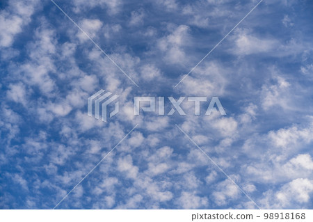 White clouds all over the sky with a blue background of daylight sky. Natural composition of the sky. Design element, background. White clouds all over the sky with a blue background of daylight sky. Natural composition of the sky. Design element, background. 98918168