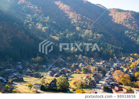 [Shirakawa-go] Early morning autumn leaves and gassho-style houses seen from the observatory 98918656