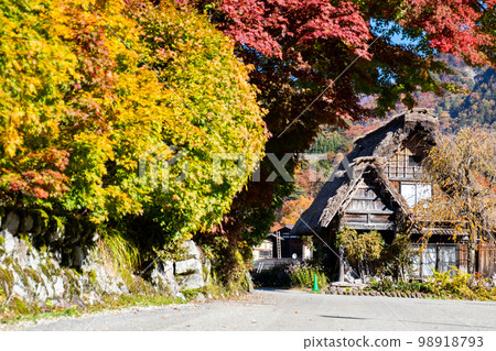 [Shirakawa-go] Autumn leaves in full bloom and village walk of gassho-zukuri style 98918793