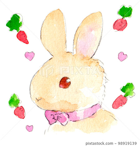 水彩插圖兔子和胡蘿蔔 水彩插圖兔子和胡蘿蔔 98919139
