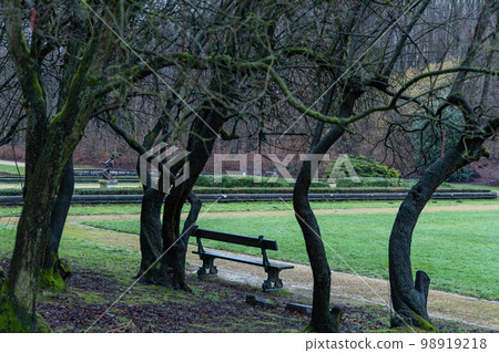 Old Park bench. Autumn colors in park Old Park bench. Autumn colors in park 98919218