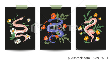 Wild snake nature card poster print set. Mystery floral flower reptile drawing witchcraft cartoon garden ornament. 98919291