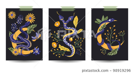 Wild snake nature card poster print set. Mystery floral flower reptile drawing witchcraft cartoon garden ornament. Wild snake nature card poster print set. Mystery floral flower reptile drawing witchcraft cartoon garden ornament. 98919296