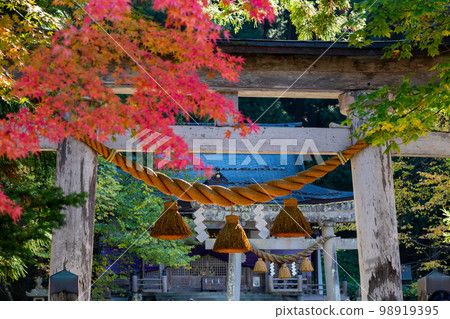 [Shirakawa-go] Autumn leaves in full bloom and Shirakawa Hachiman Shrine 98919395